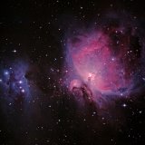 M42, M43, NGC1977